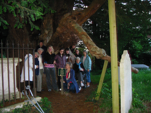 Claridge House group visiting oldest tree in England